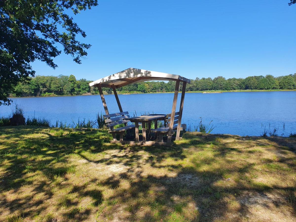 فيلا Domaine Du Rothay Lassay-sur-Croisne المظهر الخارجي الصورة